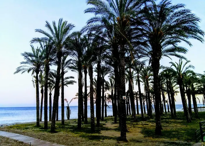 Estudio En 1ª Linea En Santa Clara Lejlighed *